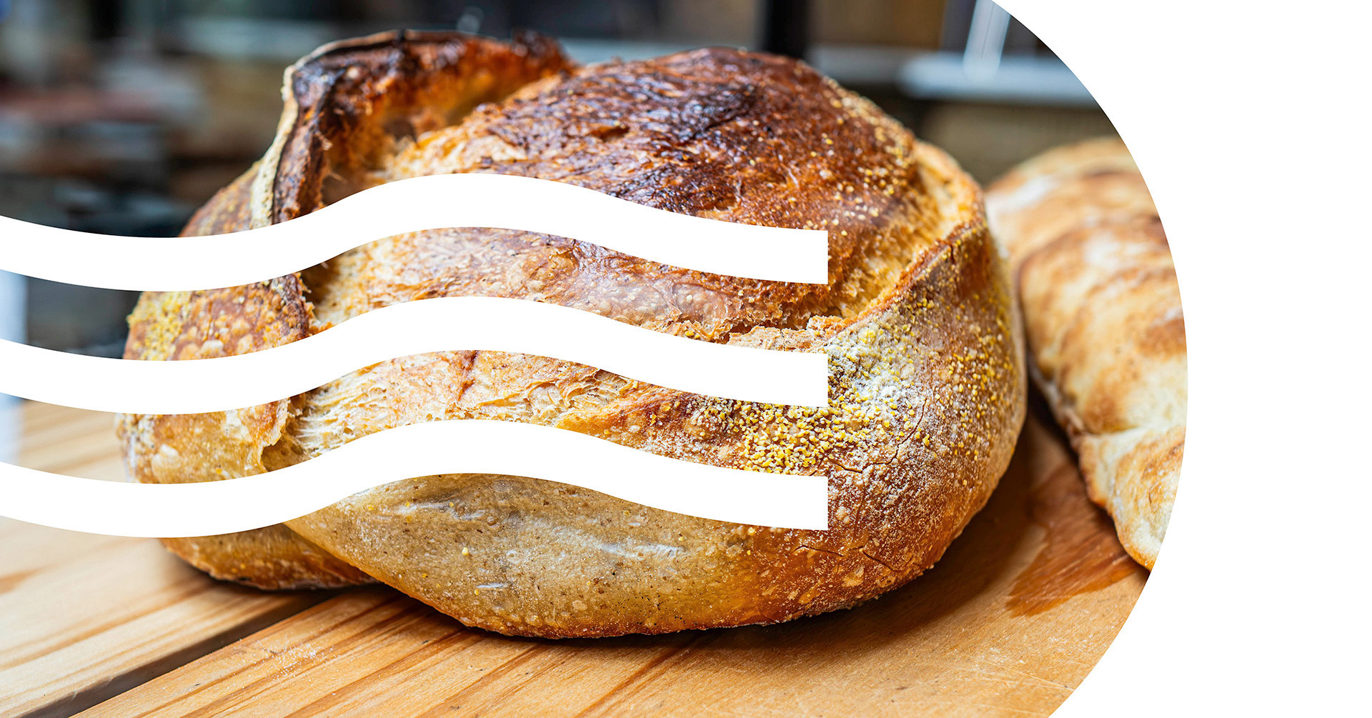 sfeerbeeld van een gebakken broodje die er verdomd lekker uit ziet